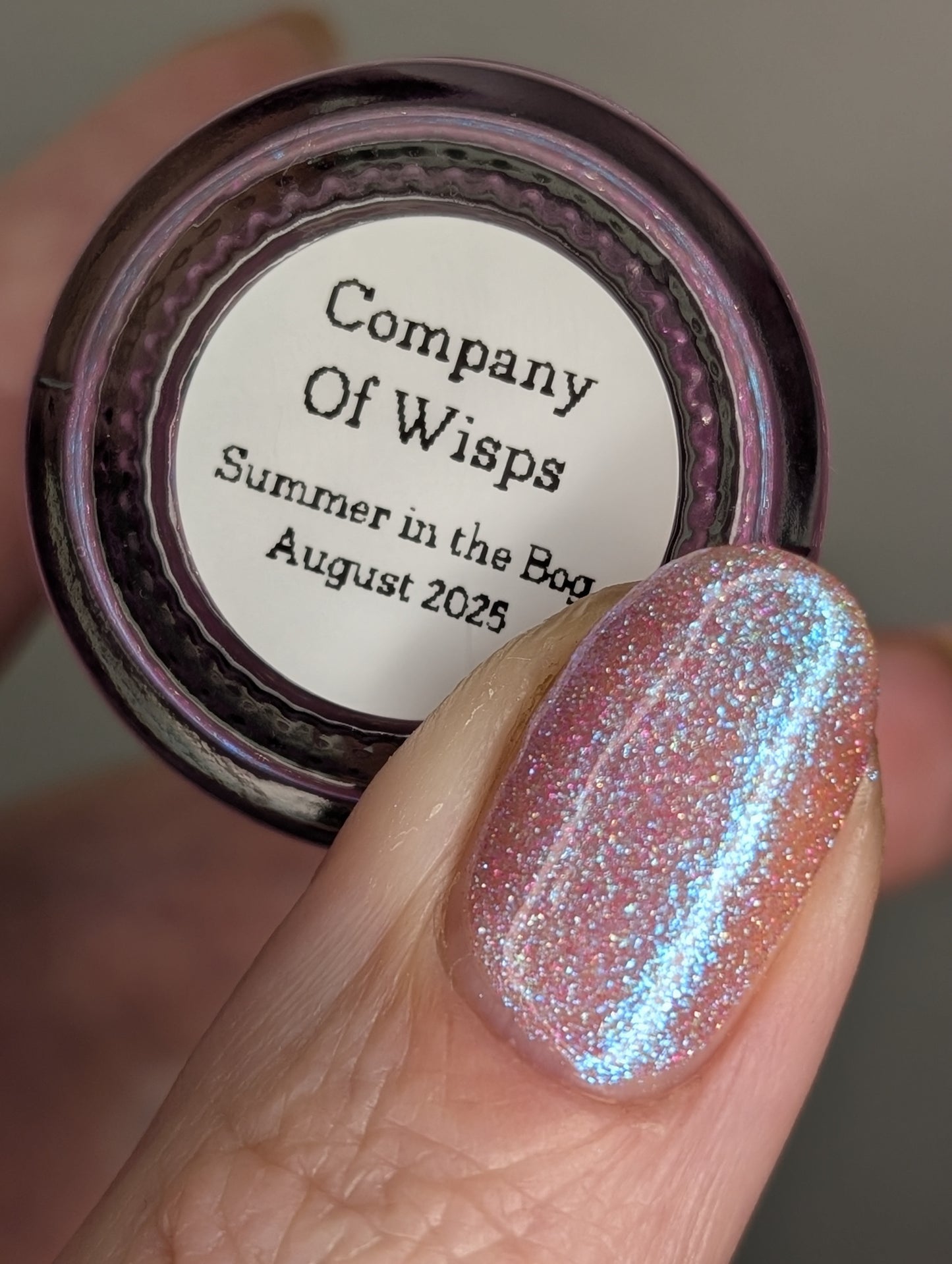 Company of Wisps (topper)