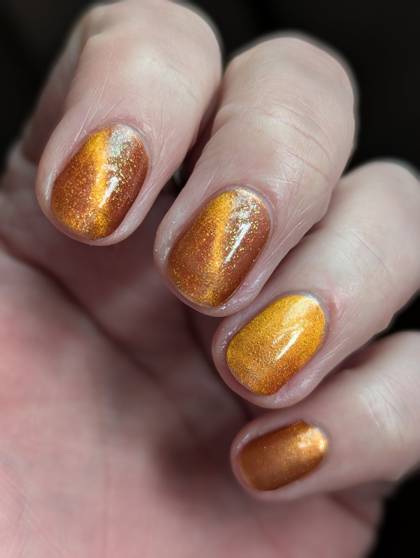 Food Giver (Charity Polish)