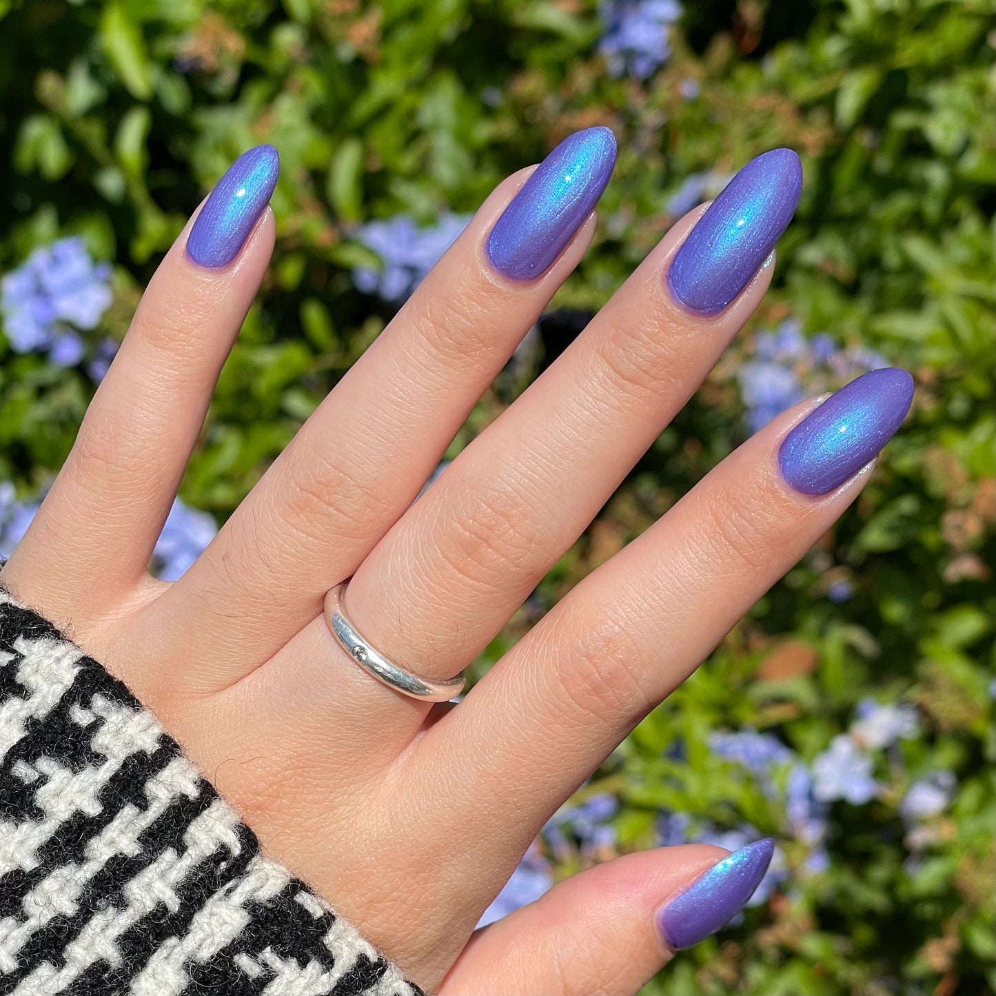 Eternal Blurple