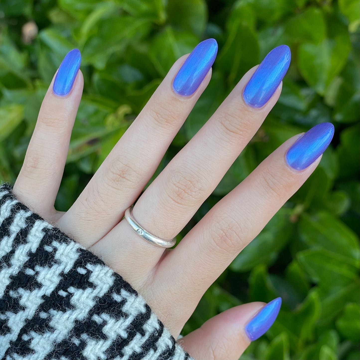 Eternal Blurple