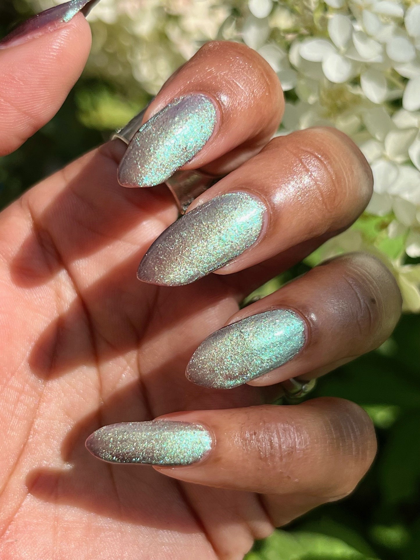 Prune the Nightshades (magnetic)