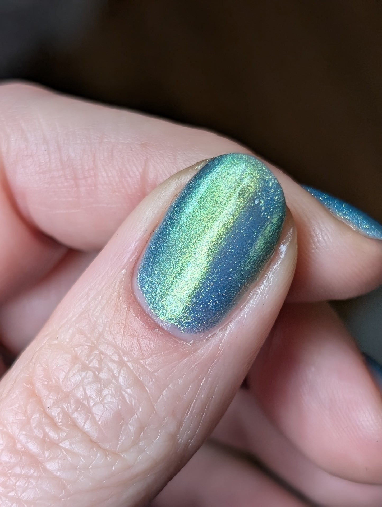 Polluted Shades of Pemberley