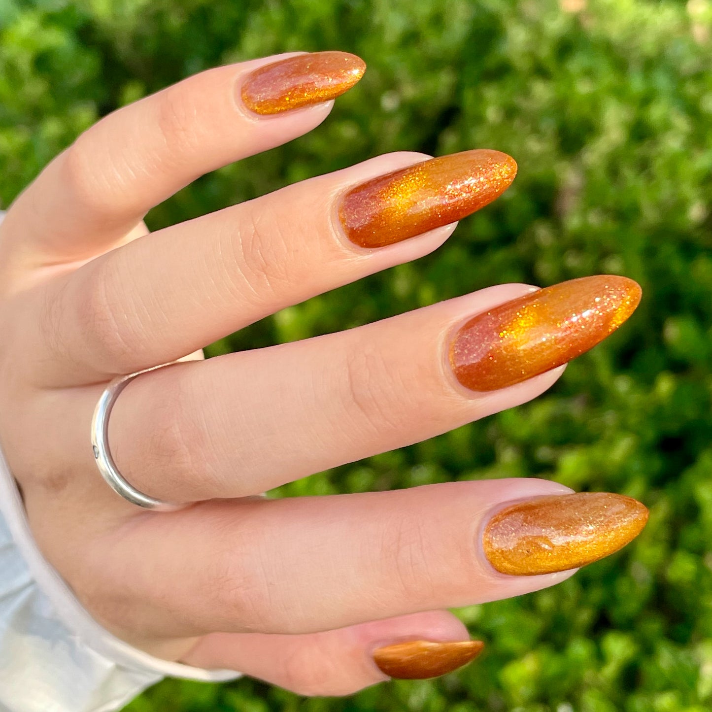 Food Giver (Charity Polish)