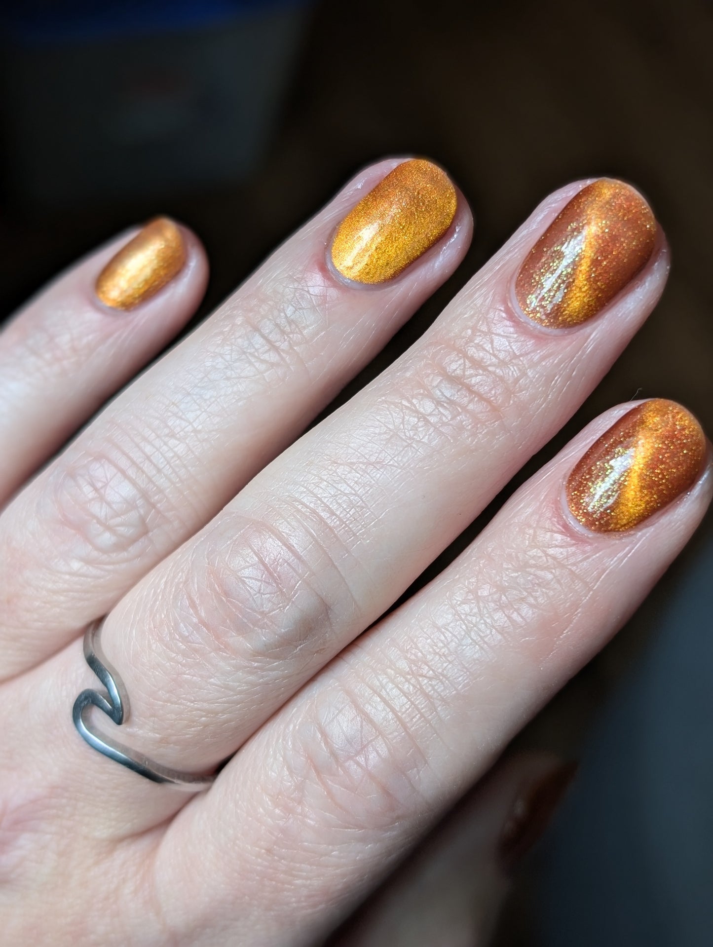 Food Giver (Charity Polish)