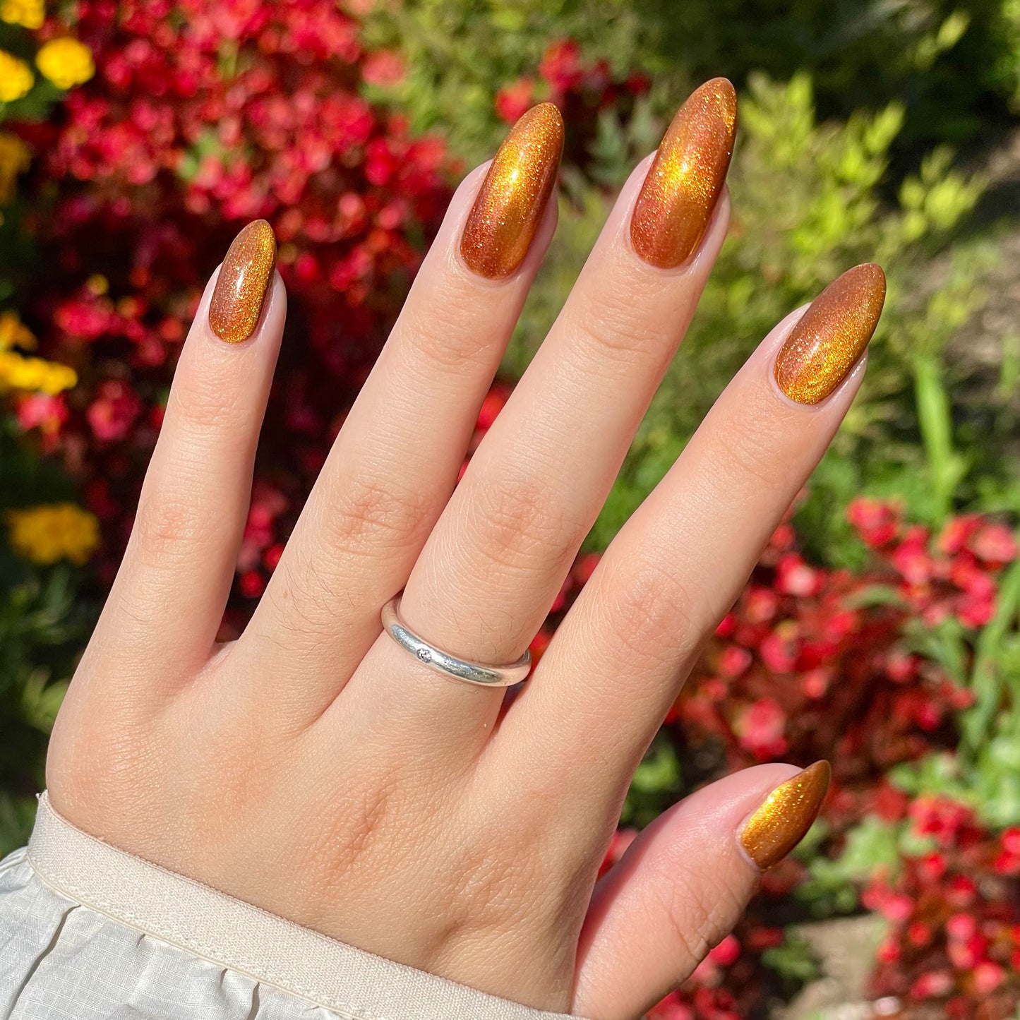 Food Giver (Charity Polish)