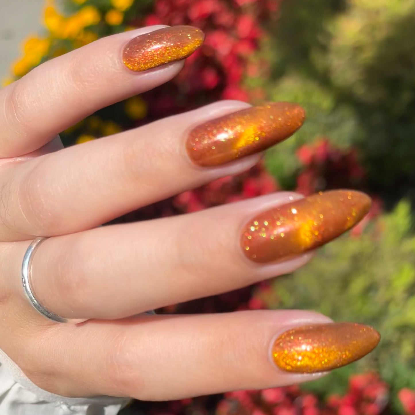 Food Giver (Charity Polish)