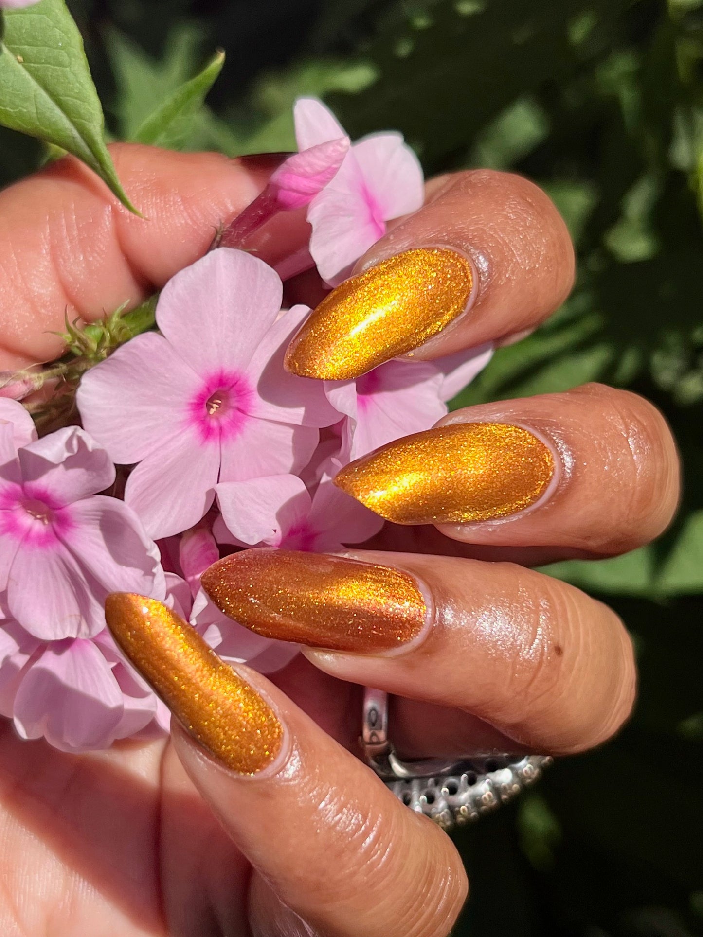 Food Giver (Charity Polish)