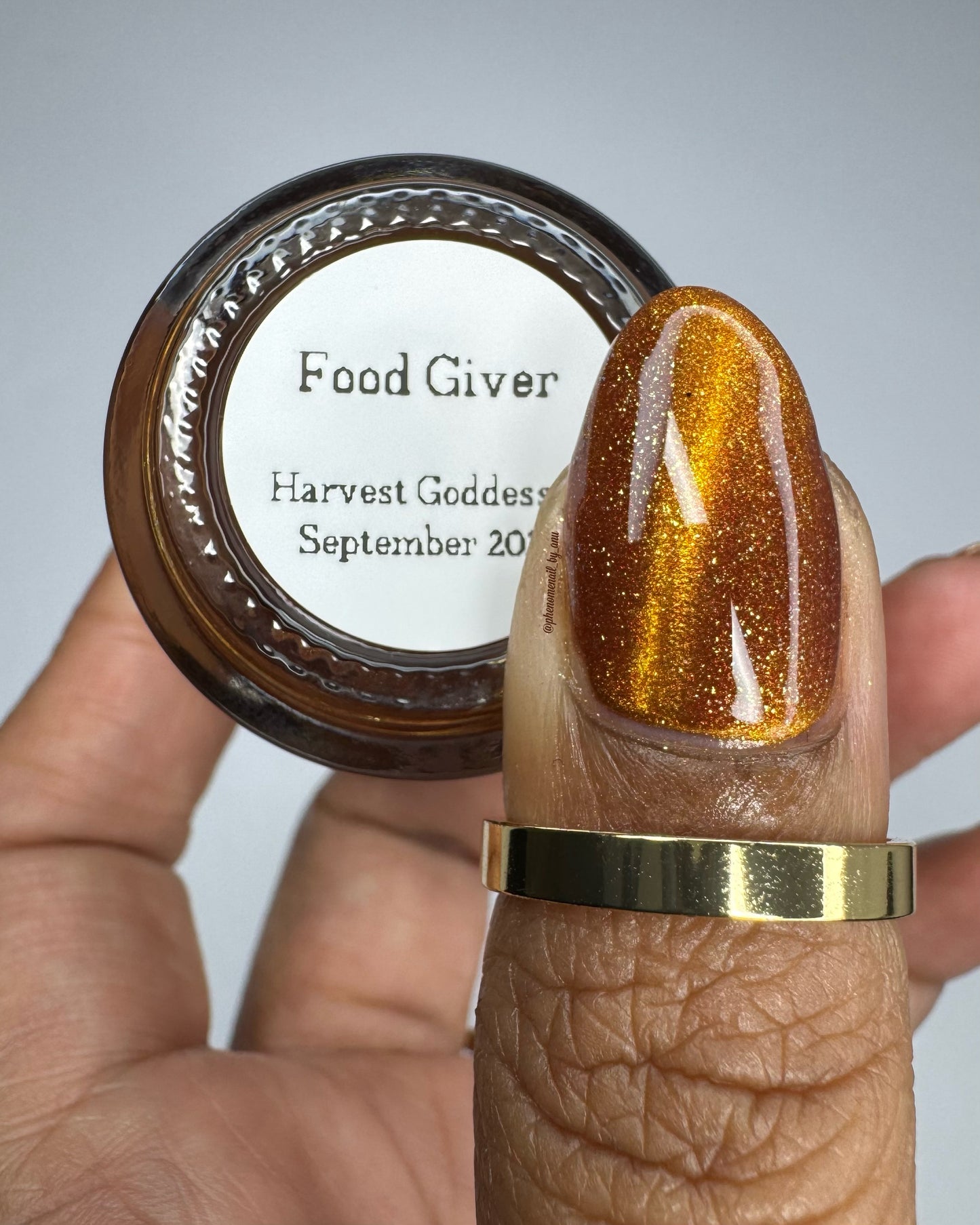 Food Giver (Charity Polish)