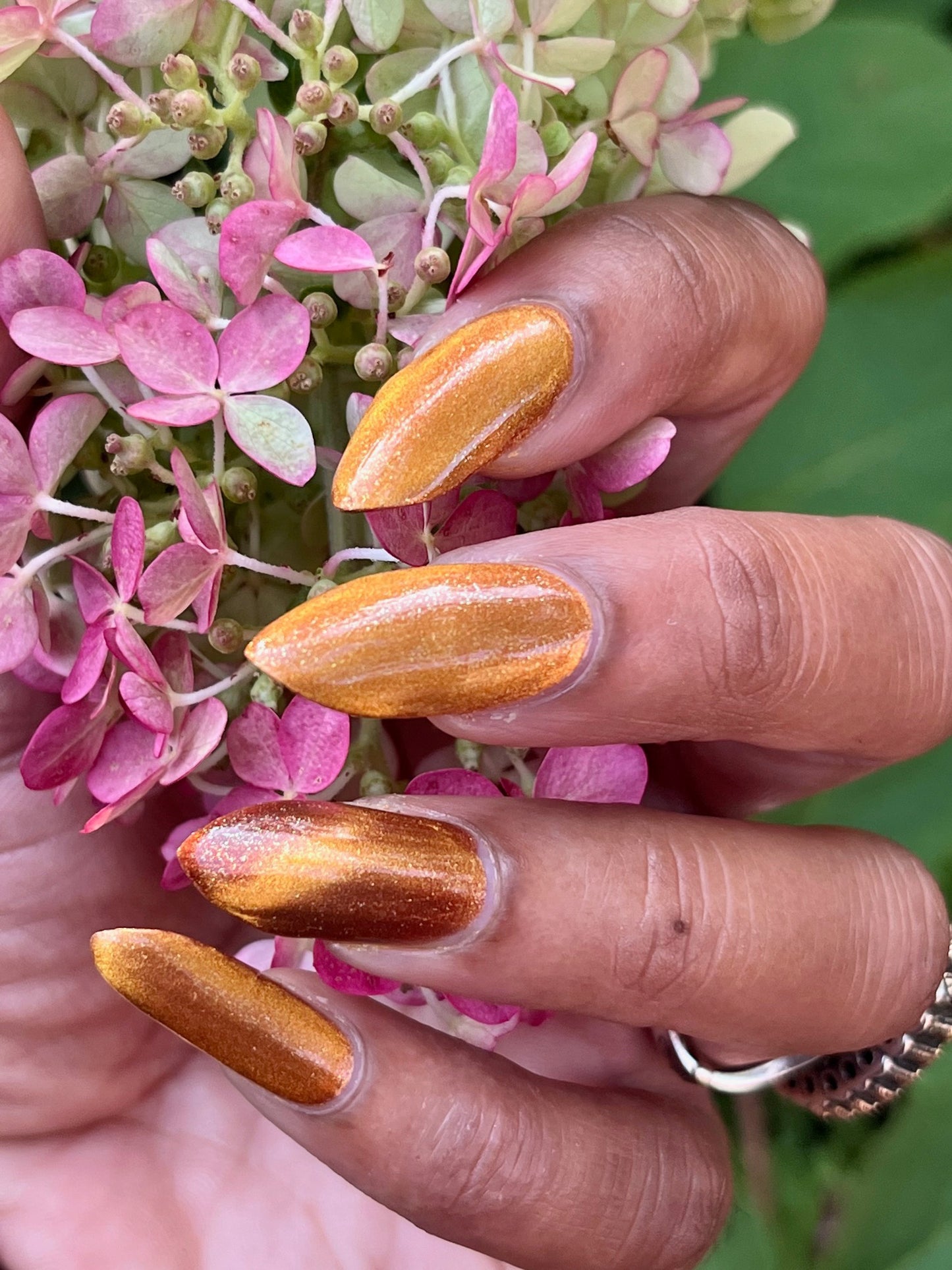 Food Giver (Charity Polish)
