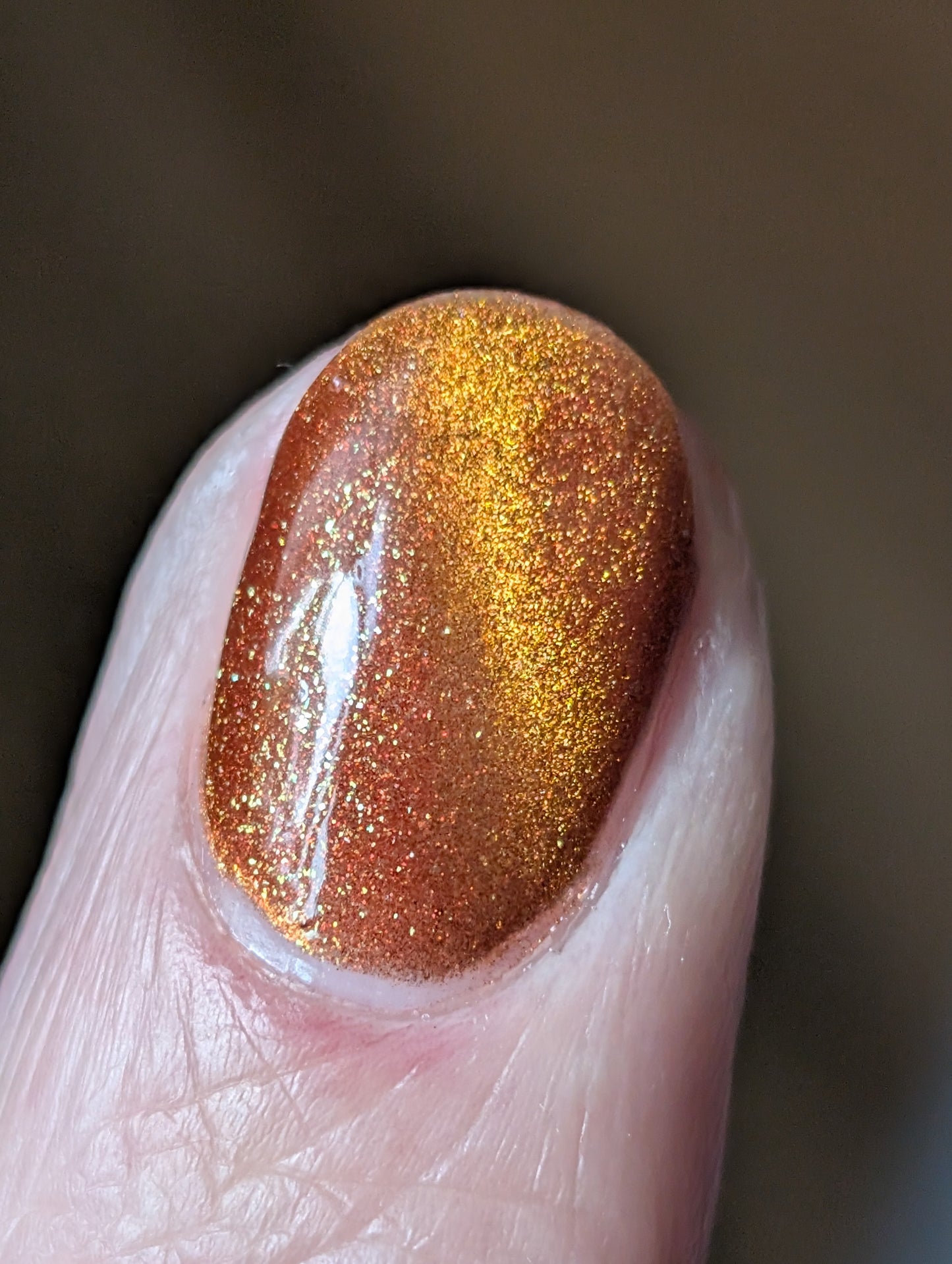 Food Giver (Charity Polish)