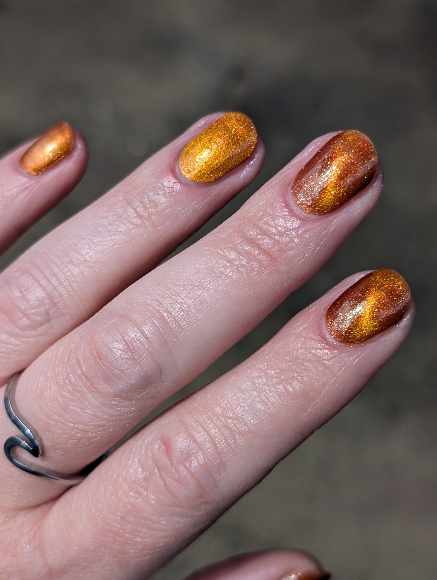 Food Giver (Charity Polish)