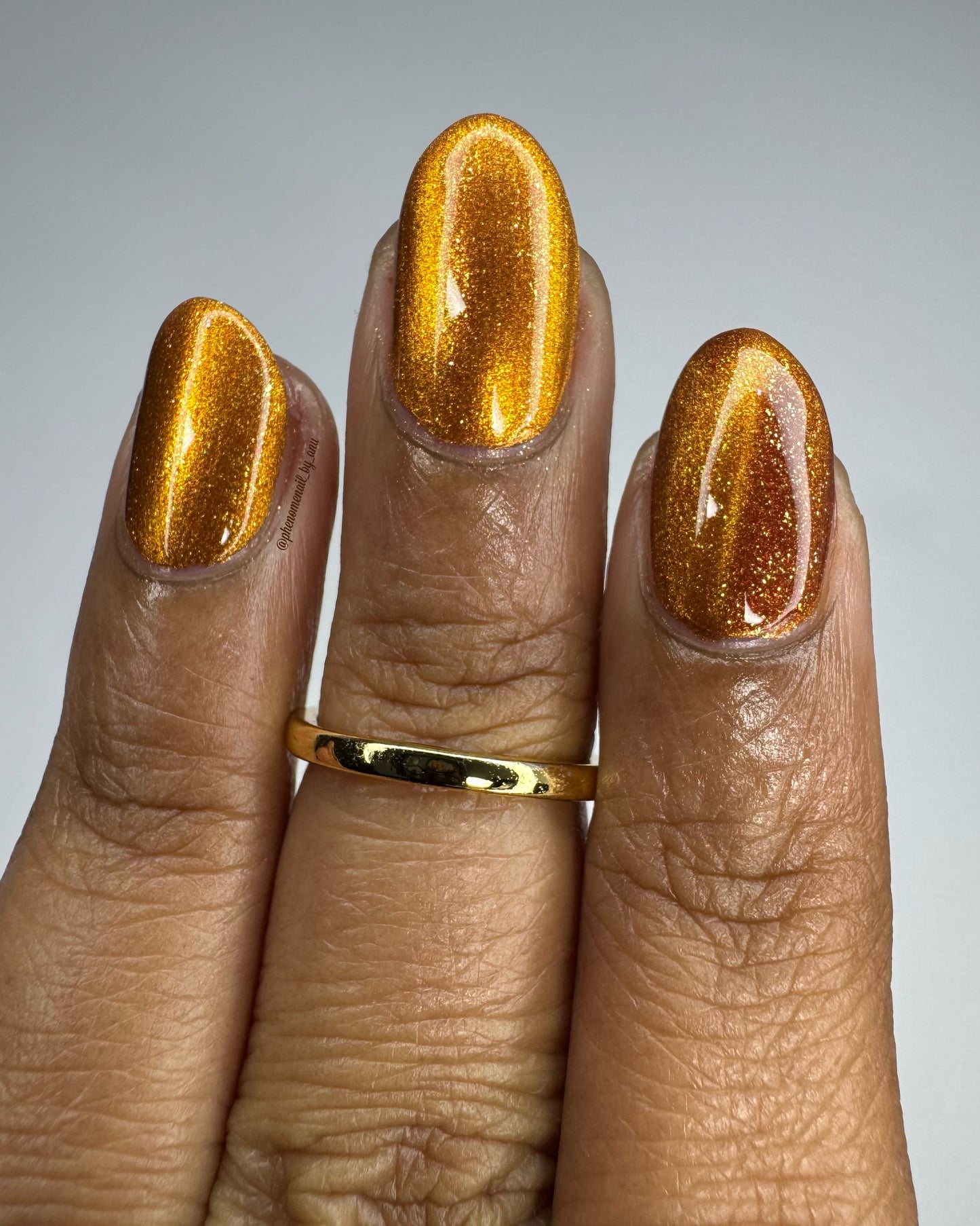Food Giver (Charity Polish)