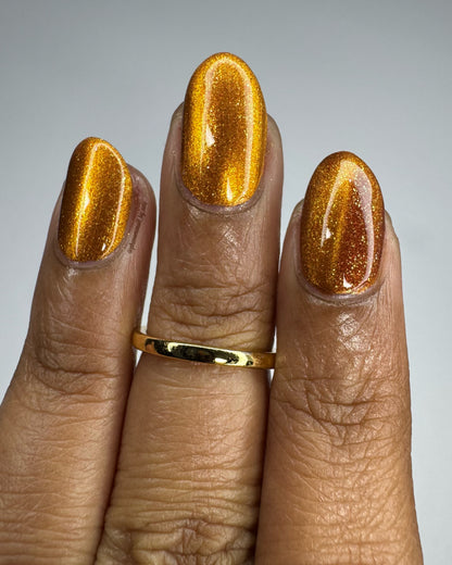Food Giver (Charity Polish)