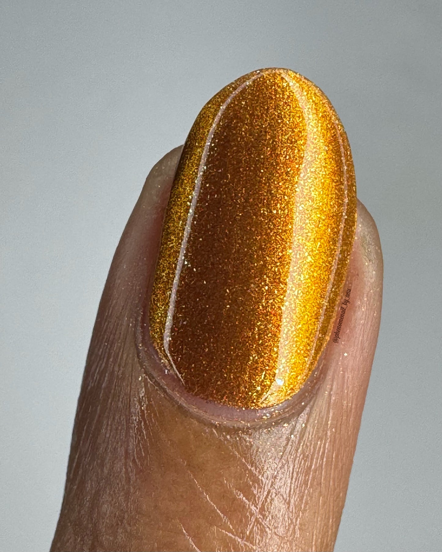 Food Giver (Charity Polish)