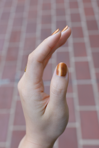 Food Giver (Charity Polish)