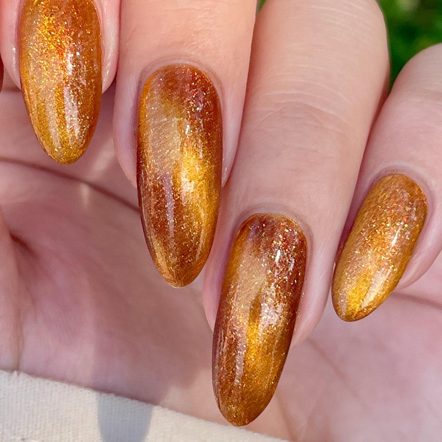 Food Giver (Charity Polish)
