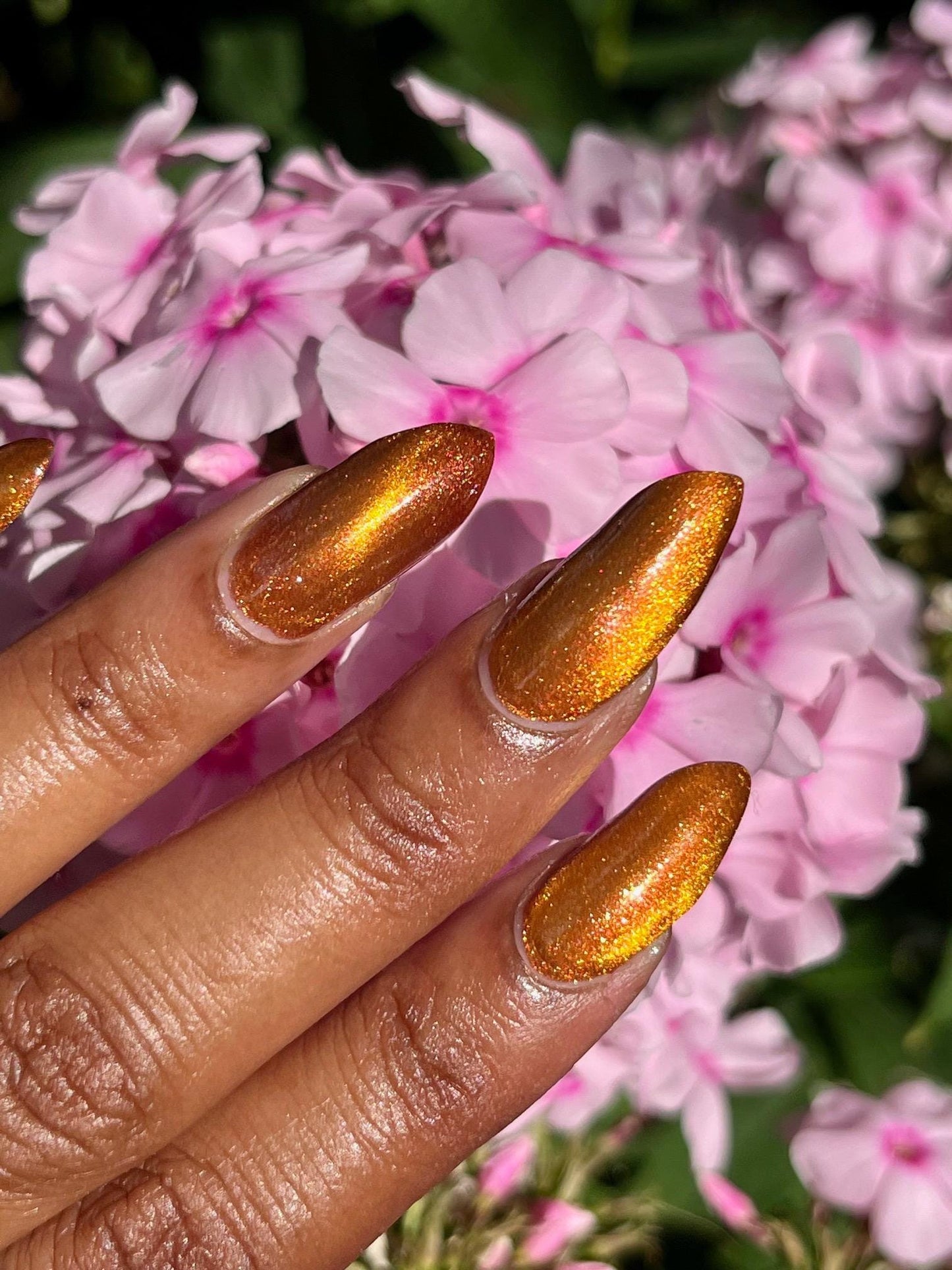 Food Giver (Charity Polish)