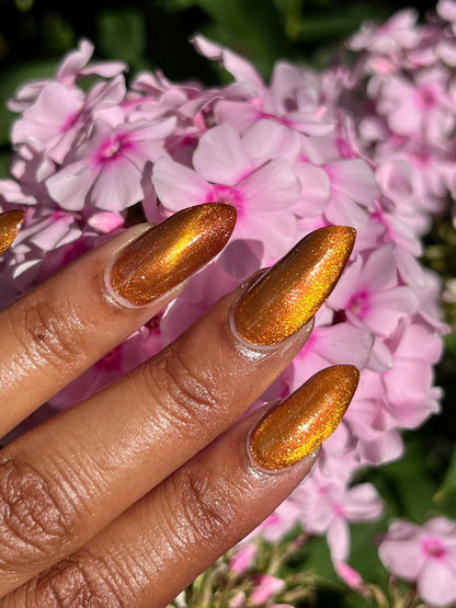 Food Giver (Charity Polish)