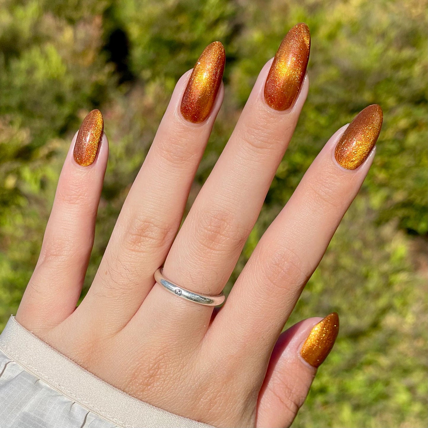 Food Giver (Charity Polish)