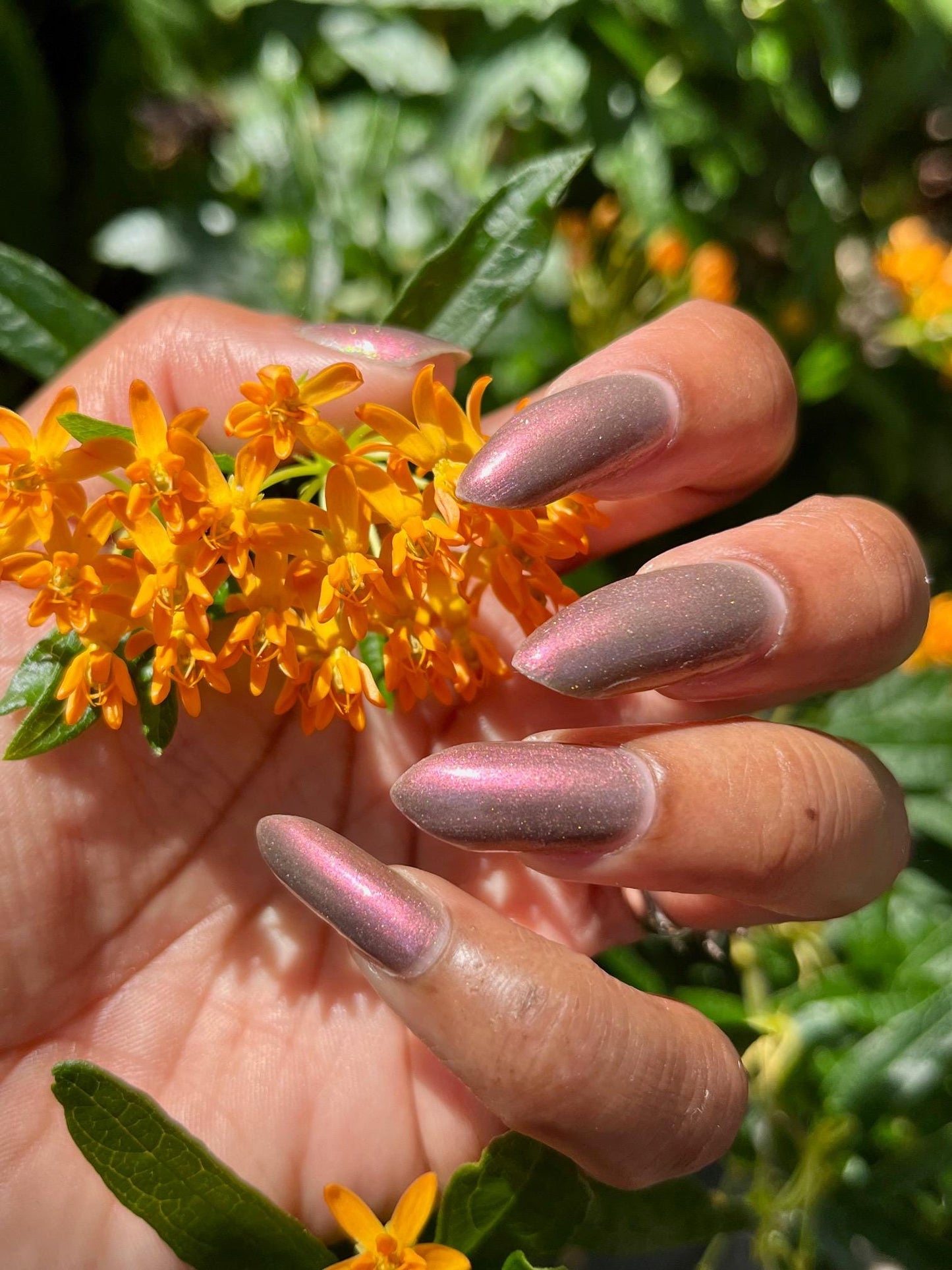 Lady of Yams (Charity Polish)