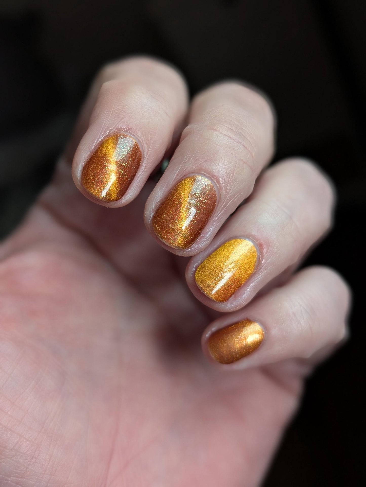 Food Giver (Charity Polish)