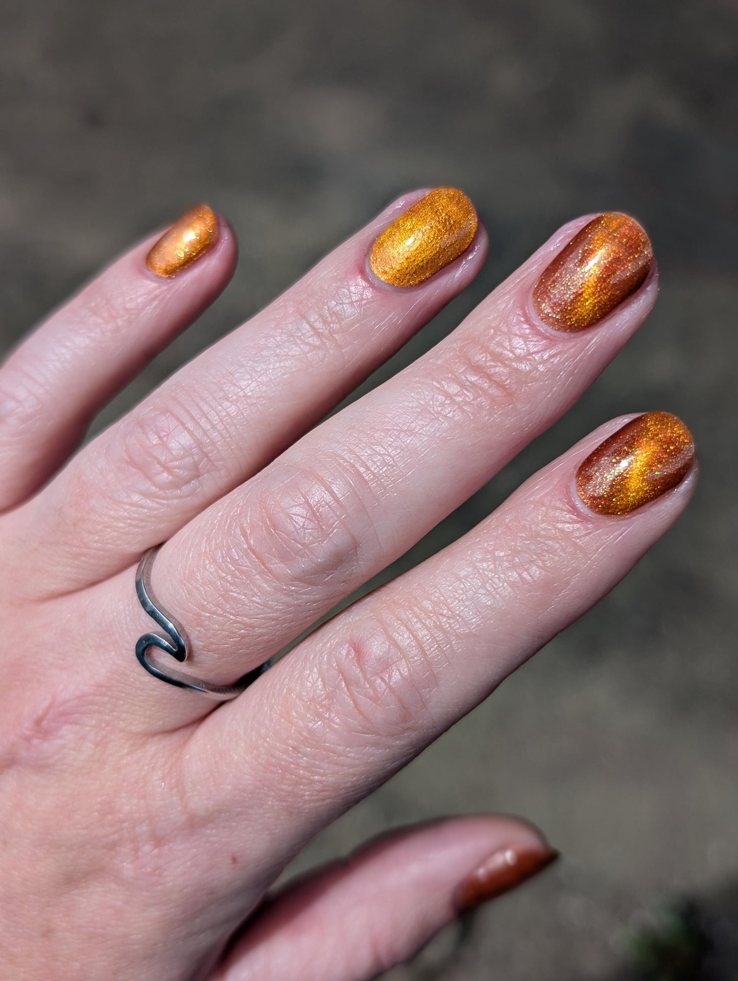Food Giver (Charity Polish)