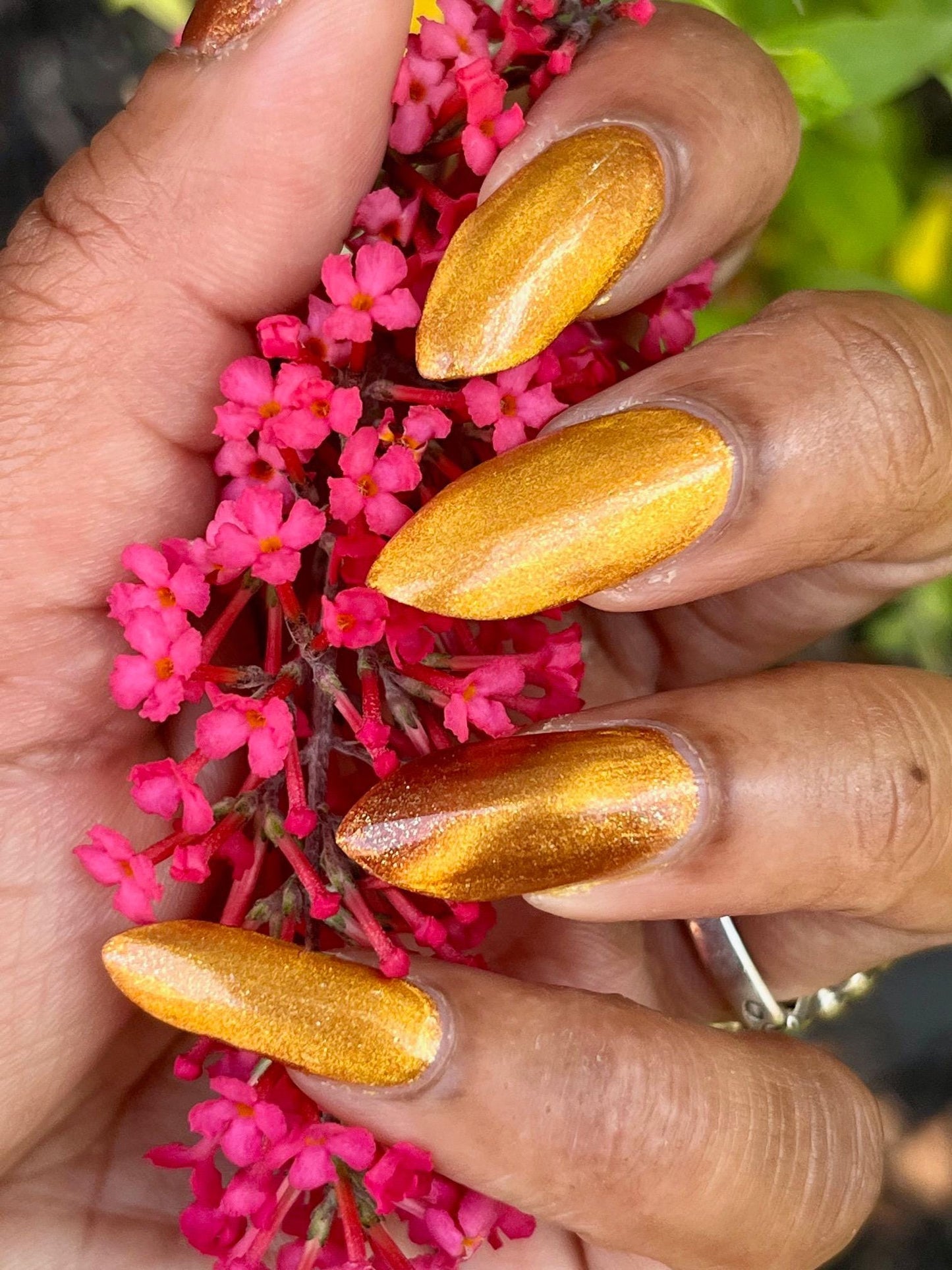 Food Giver (Charity Polish)