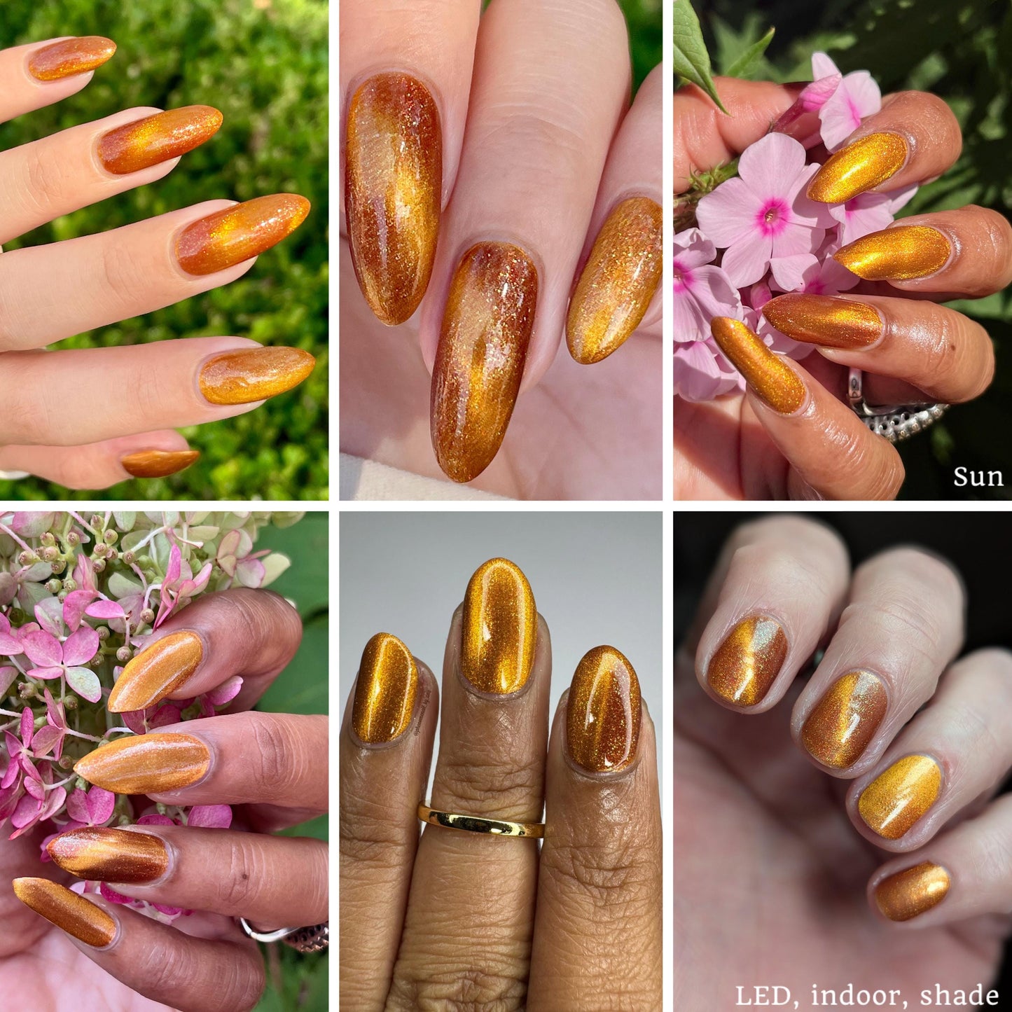 Food Giver (Charity Polish)