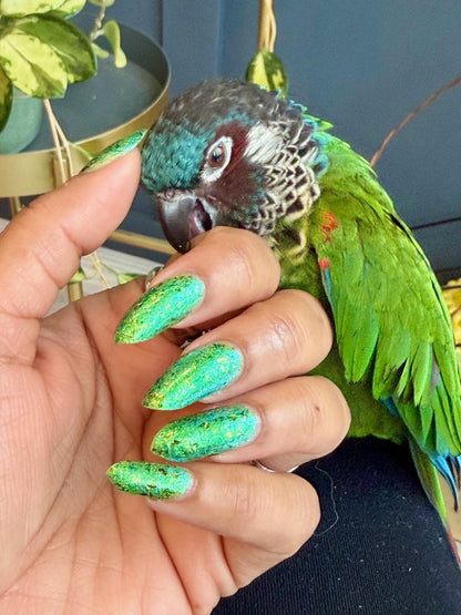 From Griffin With Love (and Bites)