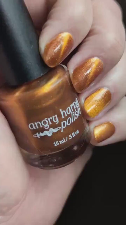 Food Giver (Charity Polish)